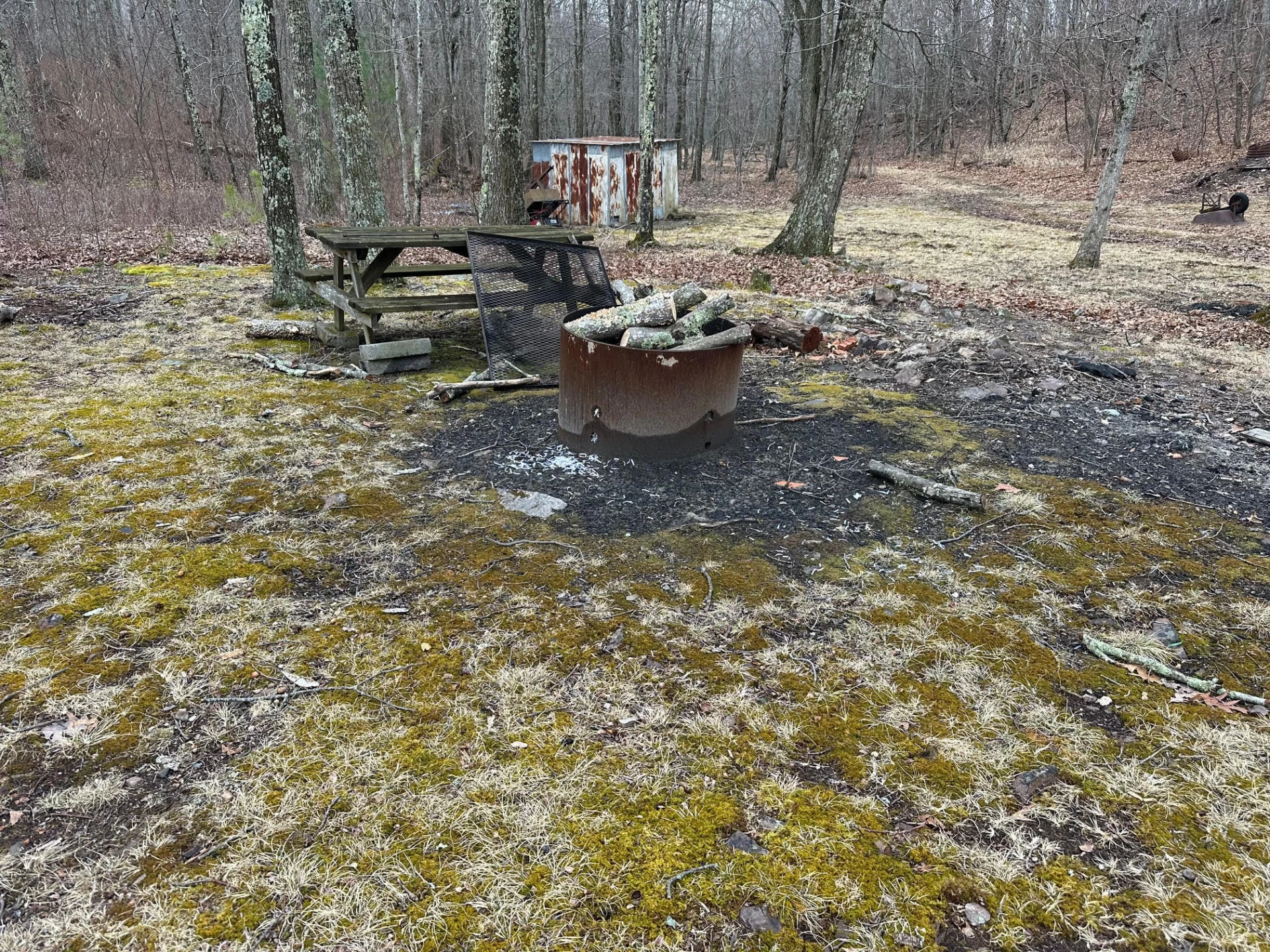 4001 Lignite RD - Photo 7
