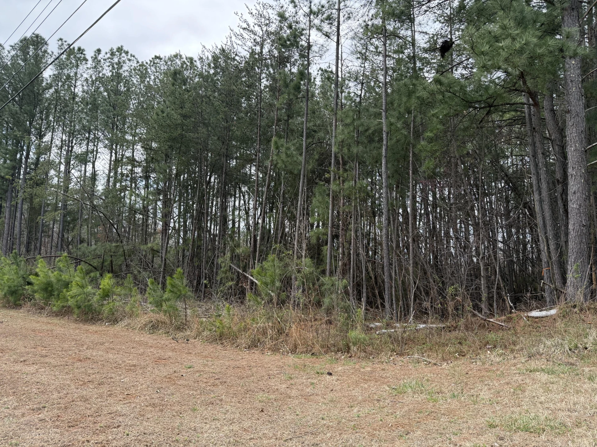 LOT 1 MONETA RD - Photo 5
