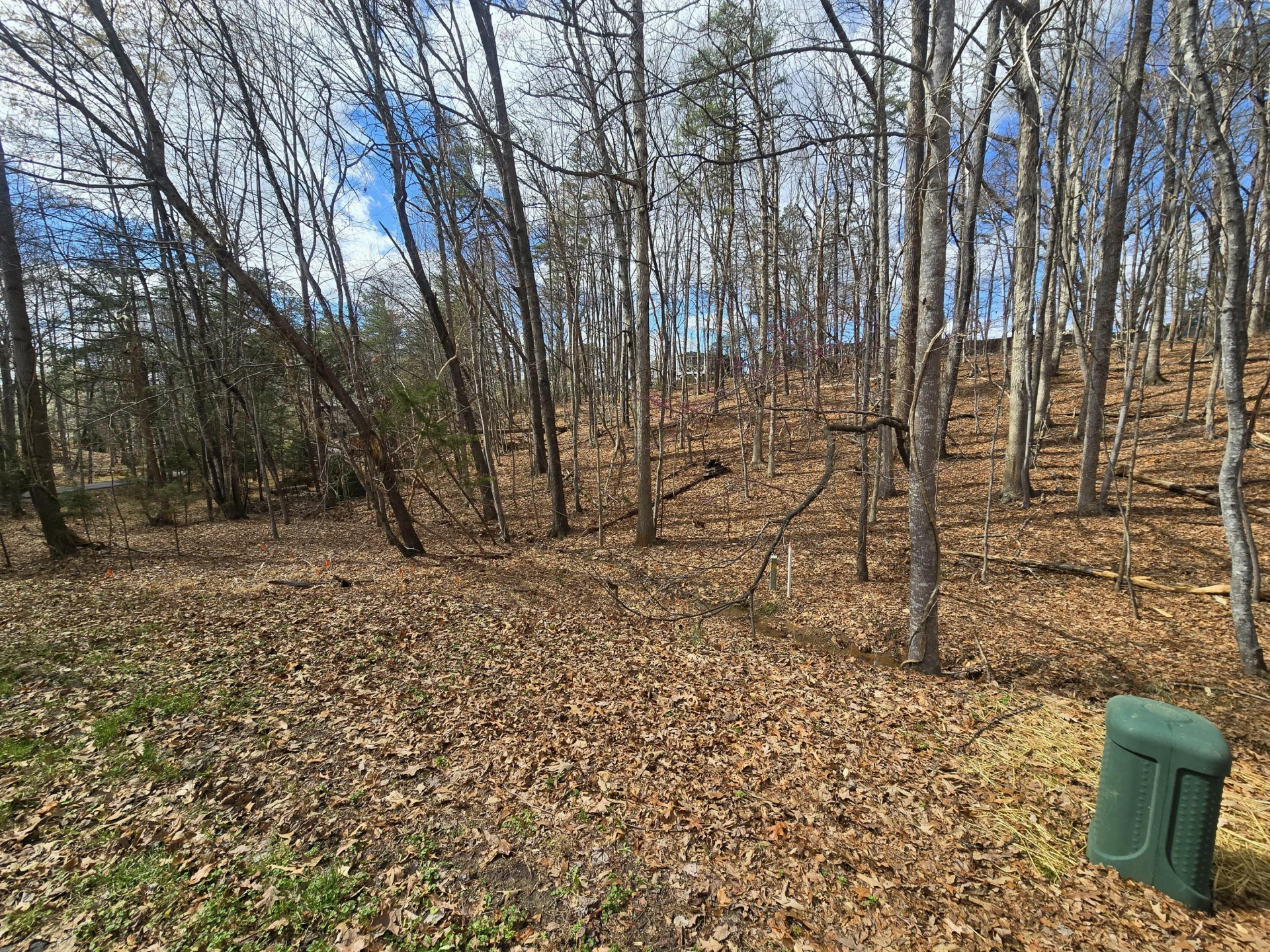 300 Crawford DR - Photo 68