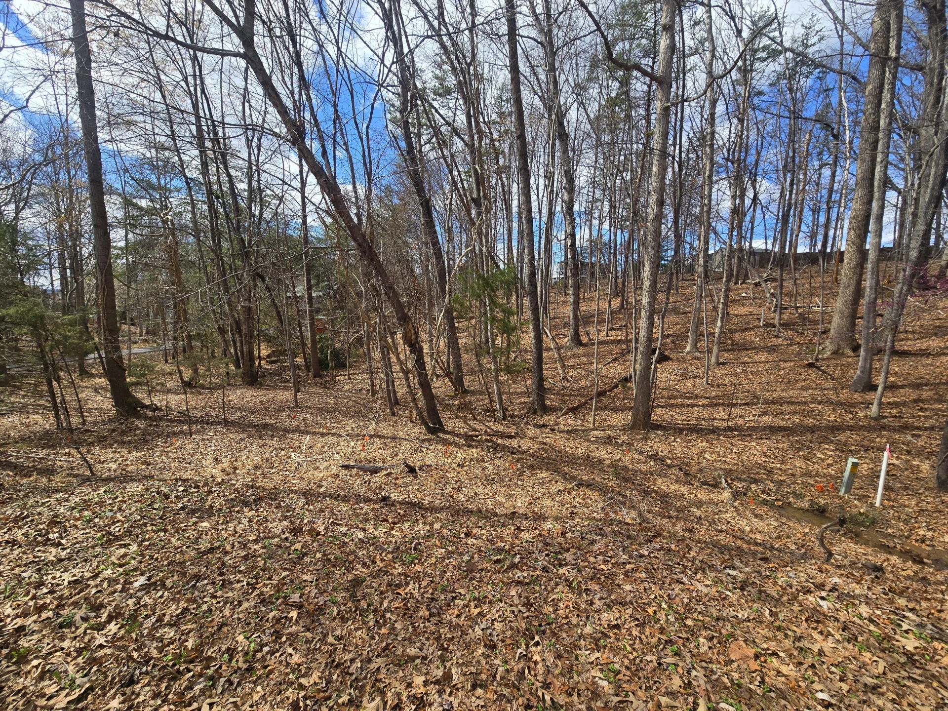 300 Crawford DR - Photo 69