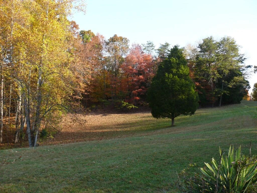 426 Burgess RD - Photo 48