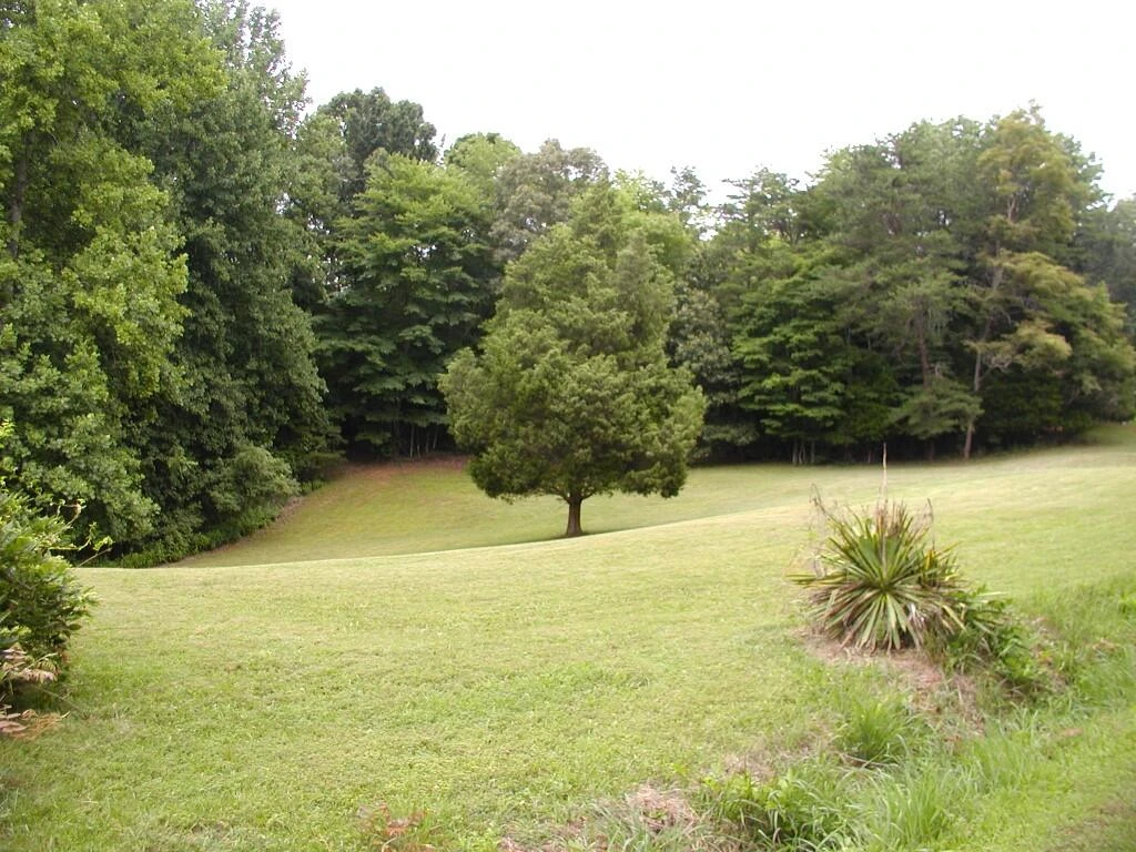 426 Burgess RD - Photo 50
