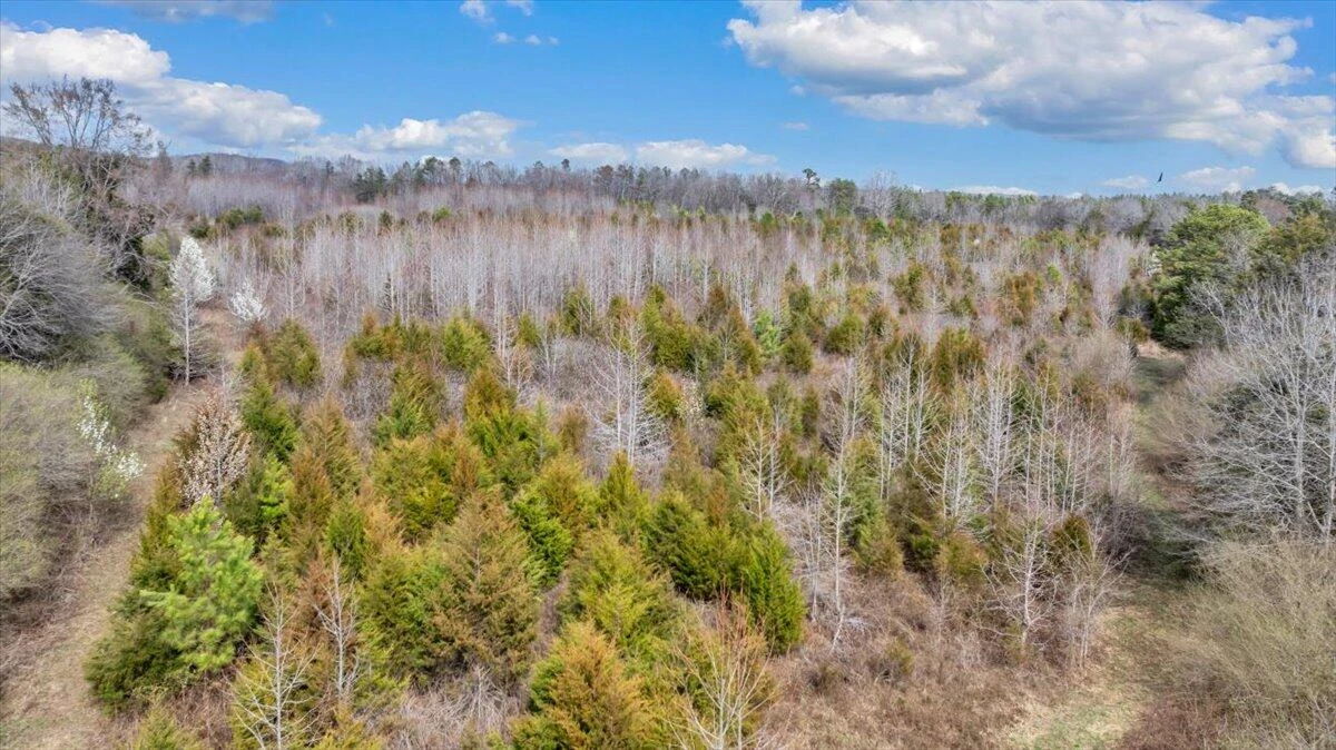 12685 E Gretna RD - Photo 25