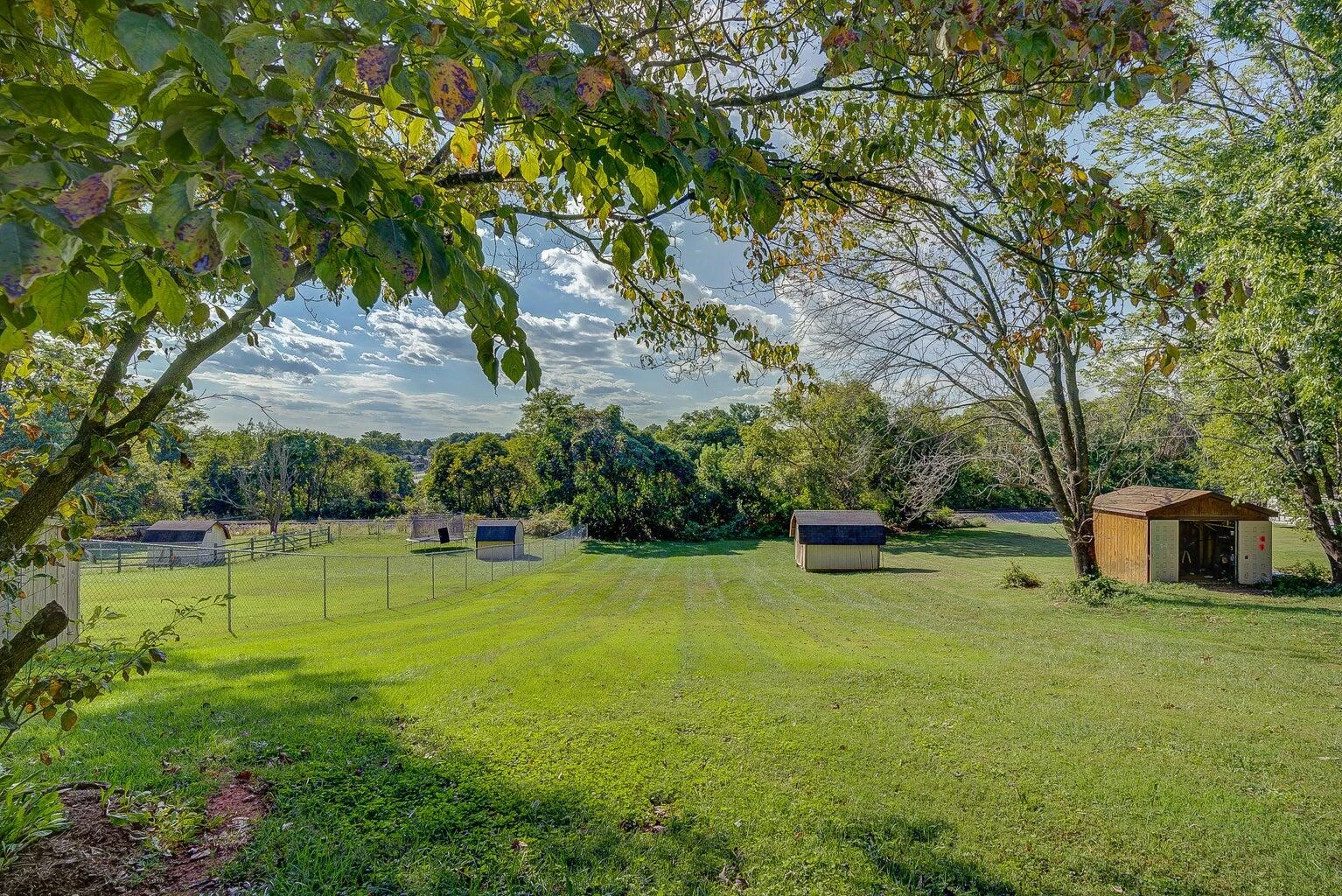6420 Nell DR - Photo 37