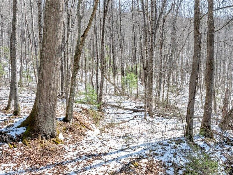 0 Sugar Run RD NE - Photo 13