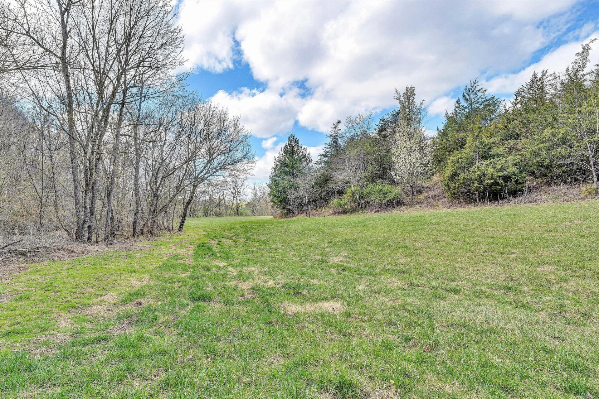 325 GLENWOOD DR - Photo 21