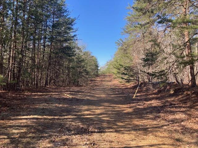 0 Misty Hollow RD - Photo 2
