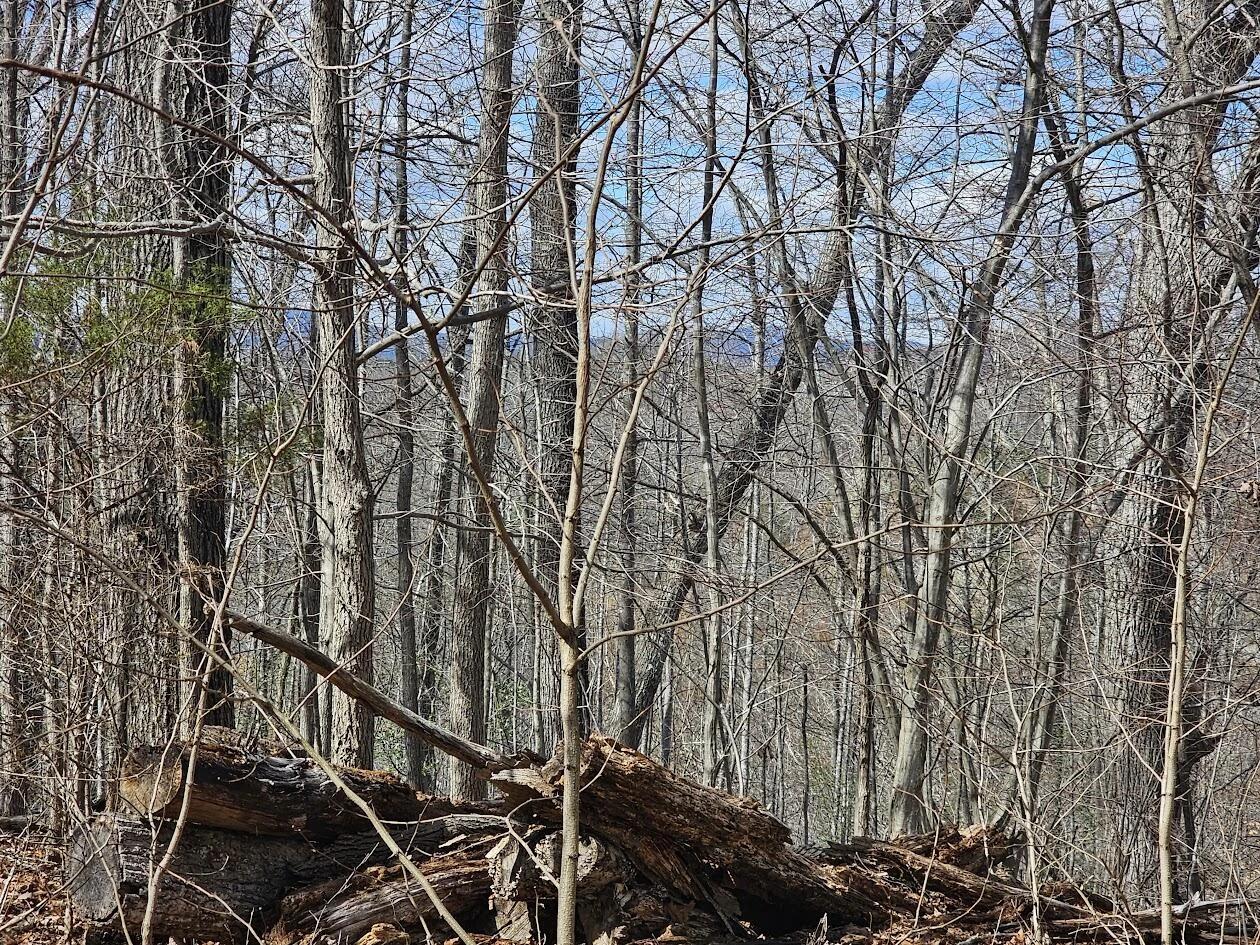 Lot 26 Afton LN - Photo 10