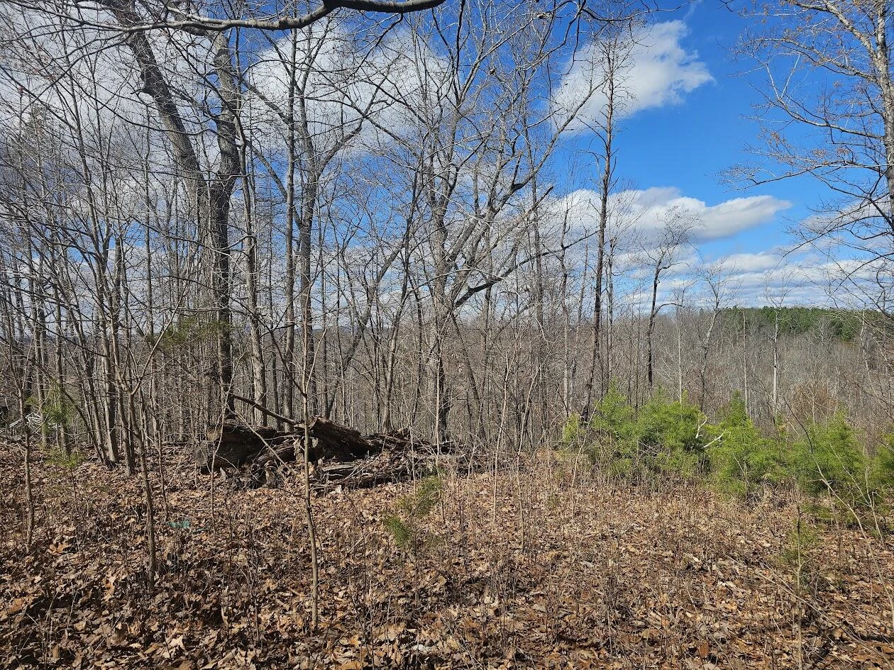 Lot 26 Afton LN - Photo 11