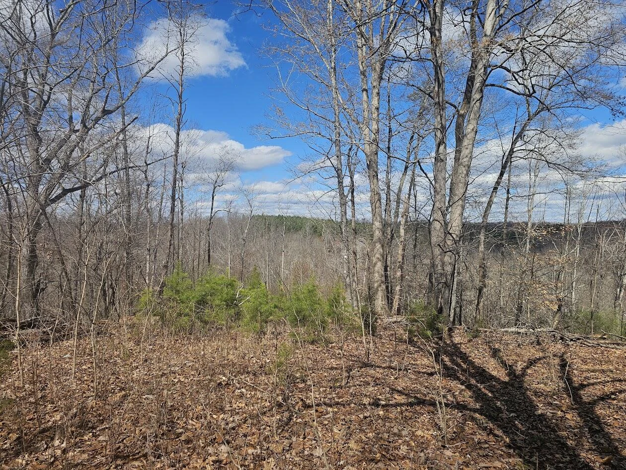 Lot 26 Afton LN - Photo 12