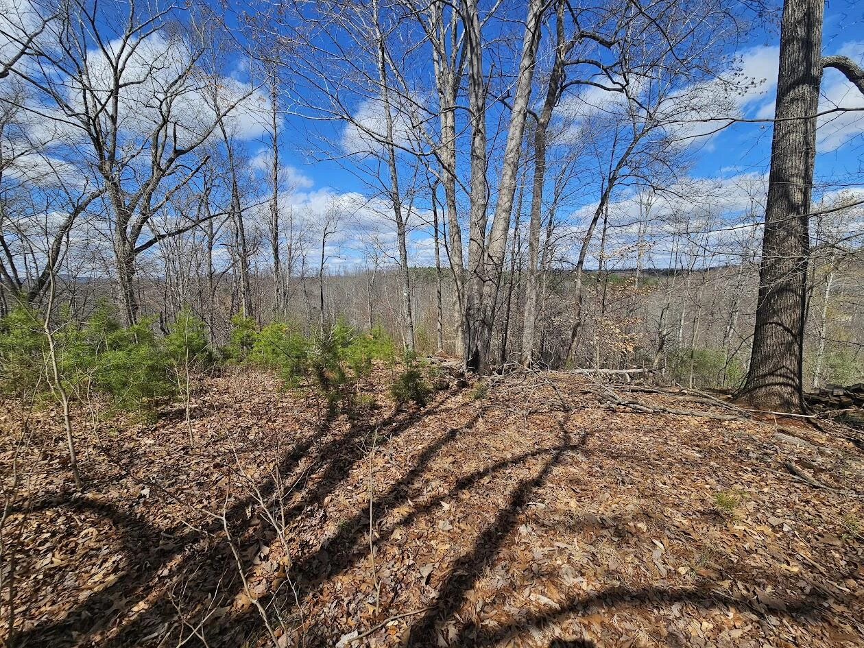 Lot 26 Afton LN - Photo 2