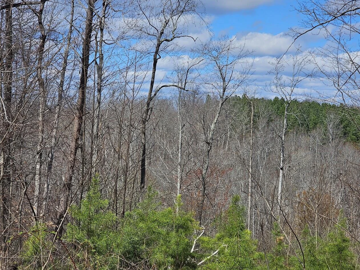 Lot 26 Afton LN - Photo 9