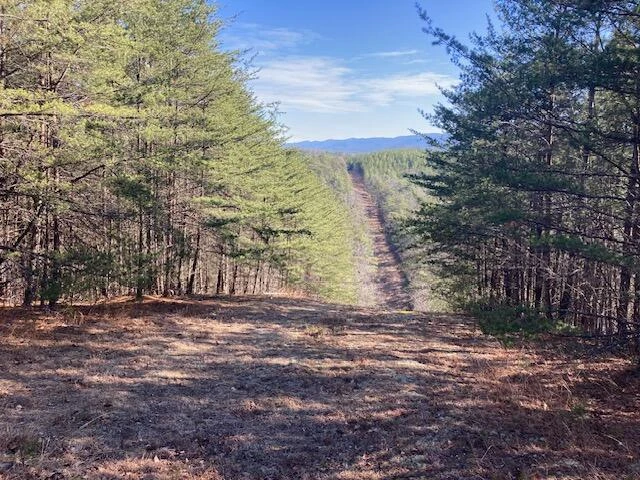 0 Misty Hollow RD - Photo 2