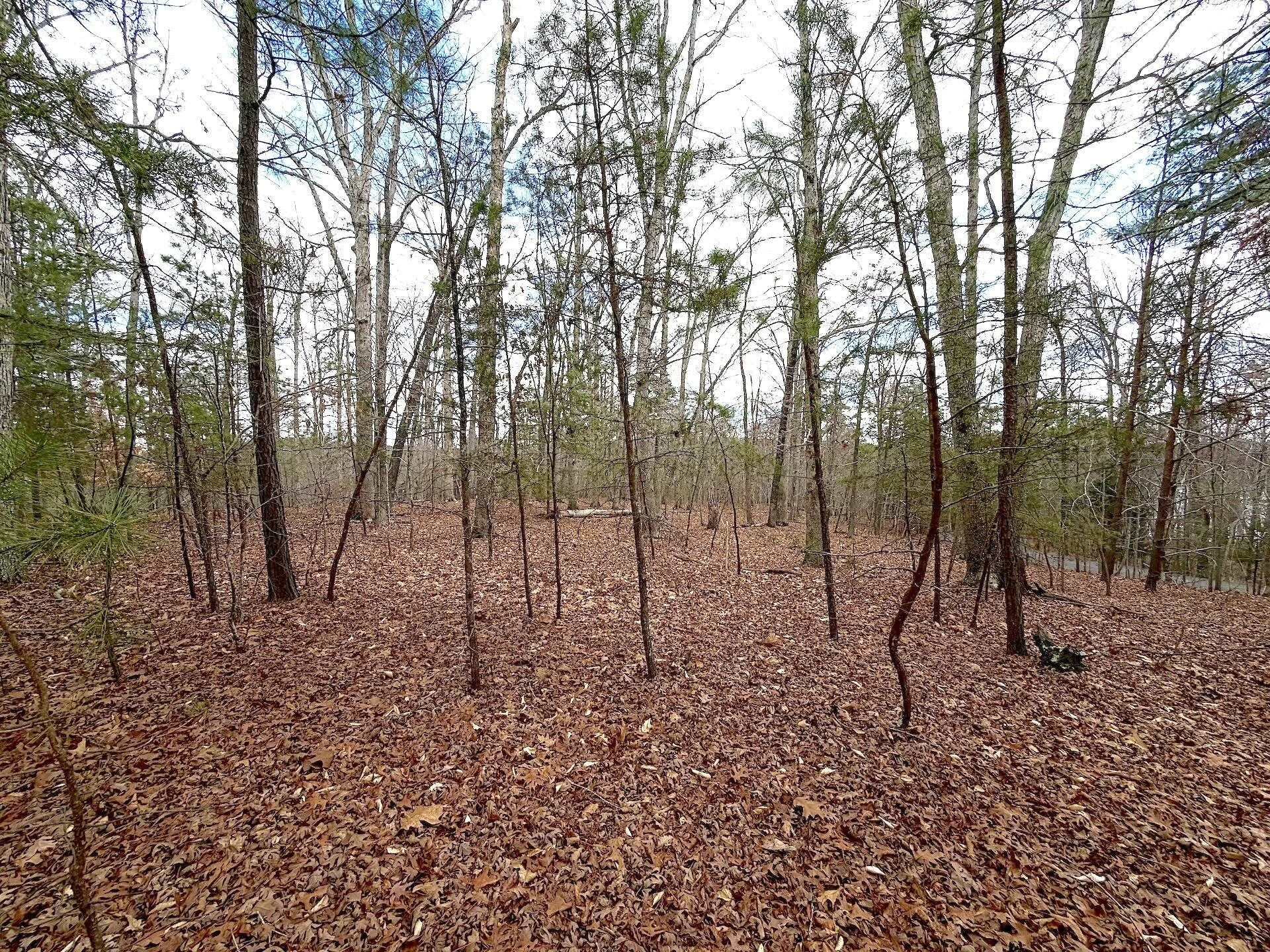 0 Runaway Bay RD - Photo 20