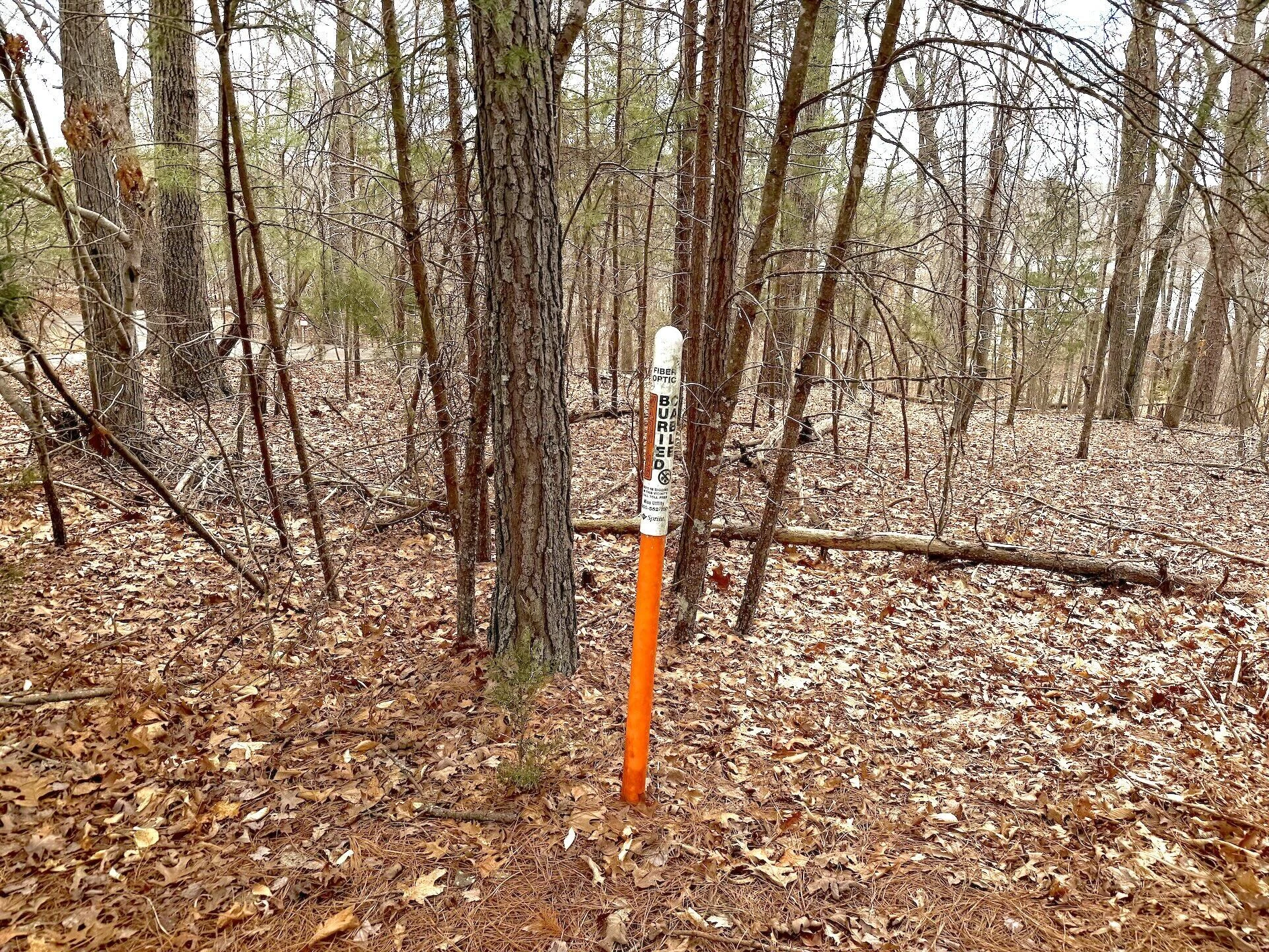 0 Runaway Bay RD - Photo 21