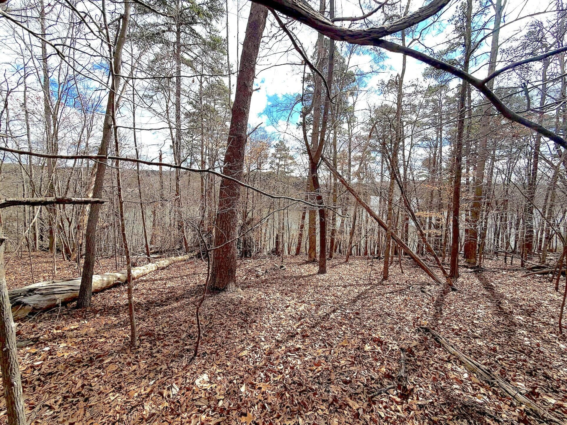0 Runaway Bay RD - Photo 29
