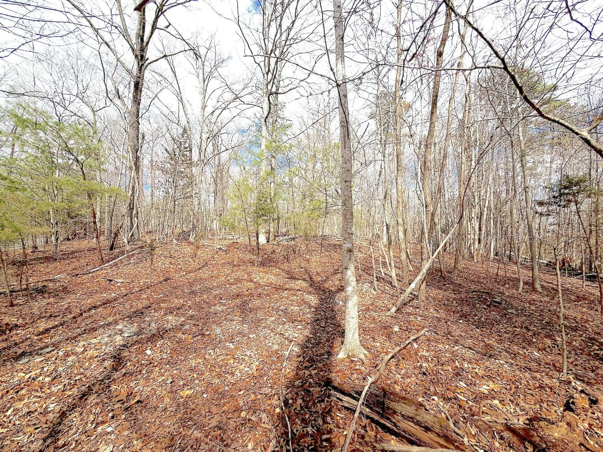 0 Runaway Bay RD - Photo 30