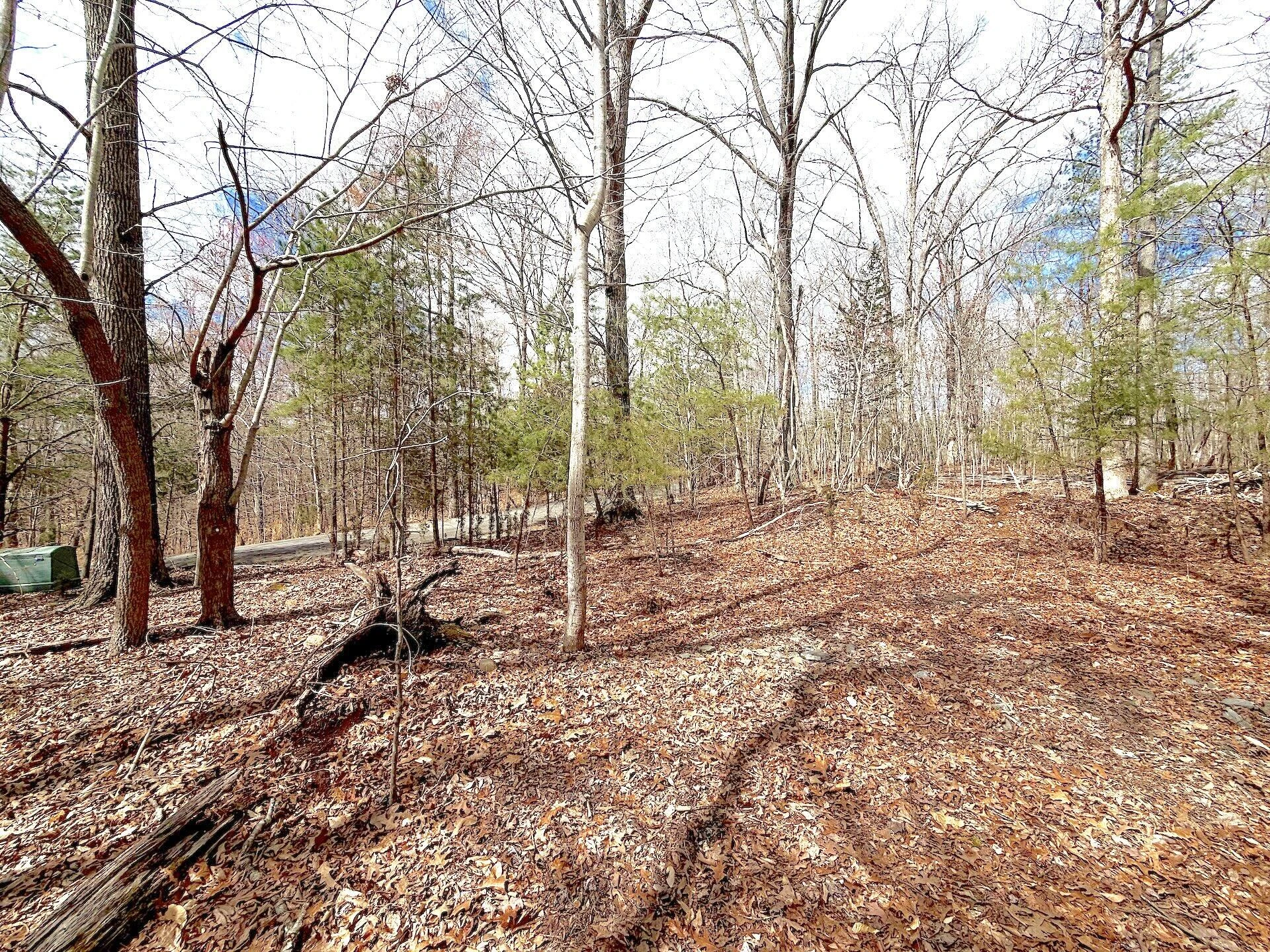 0 Runaway Bay RD - Photo 32