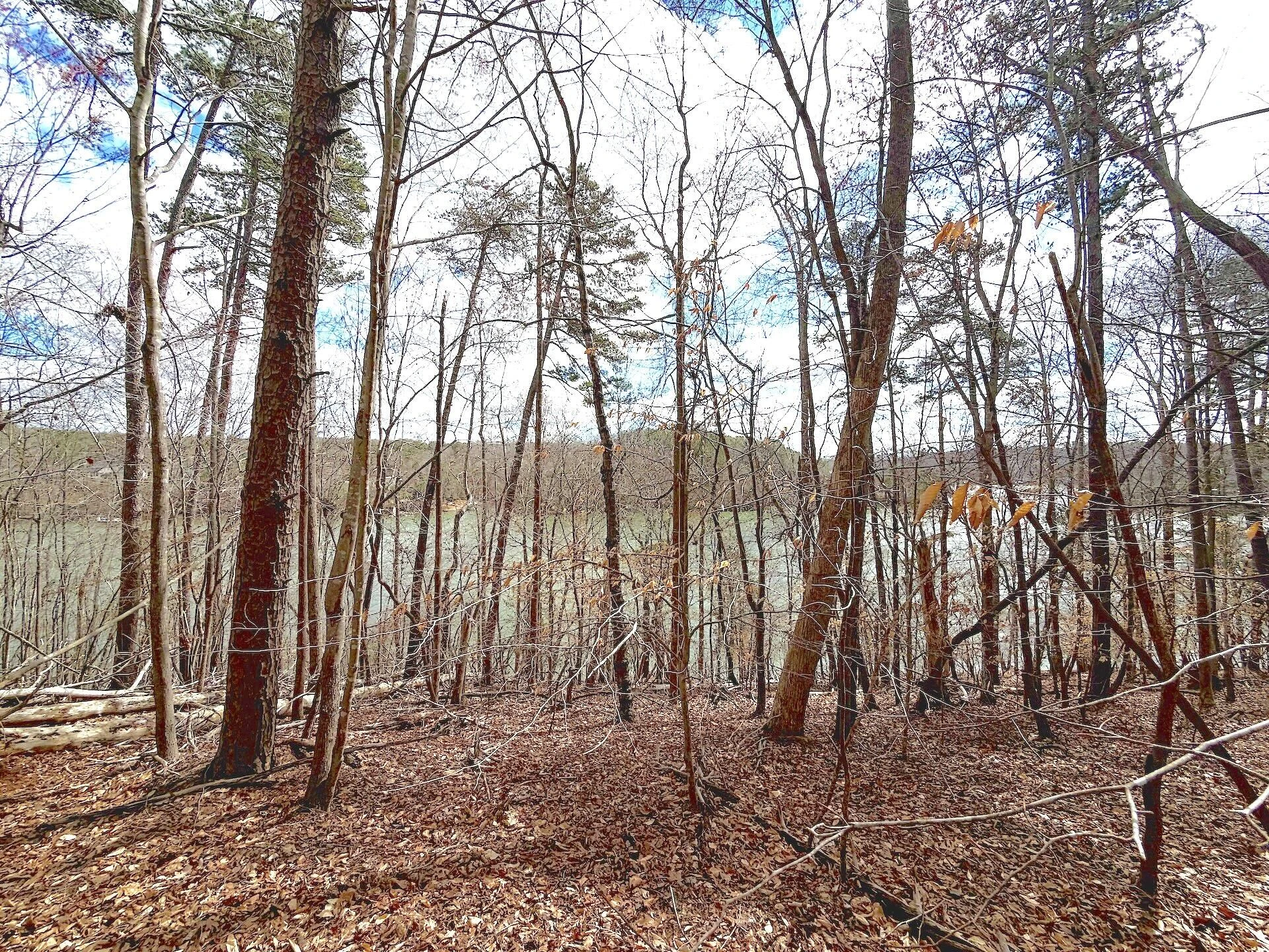 0 Runaway Bay RD - Photo 33