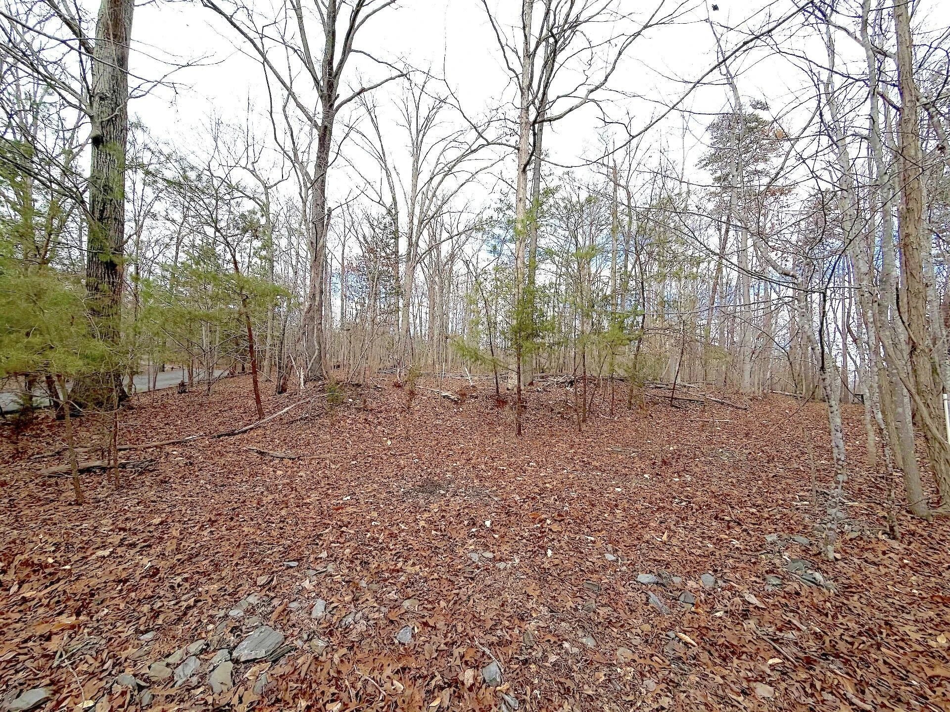 0 Runaway Bay RD - Photo 34