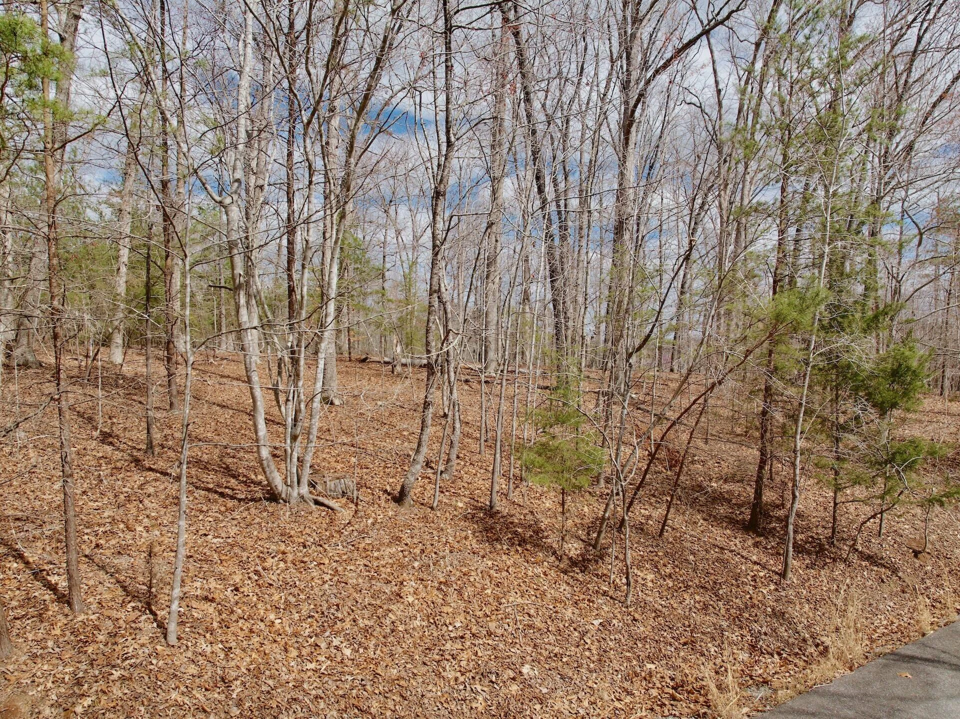 0 Runaway Bay RD - Photo 35