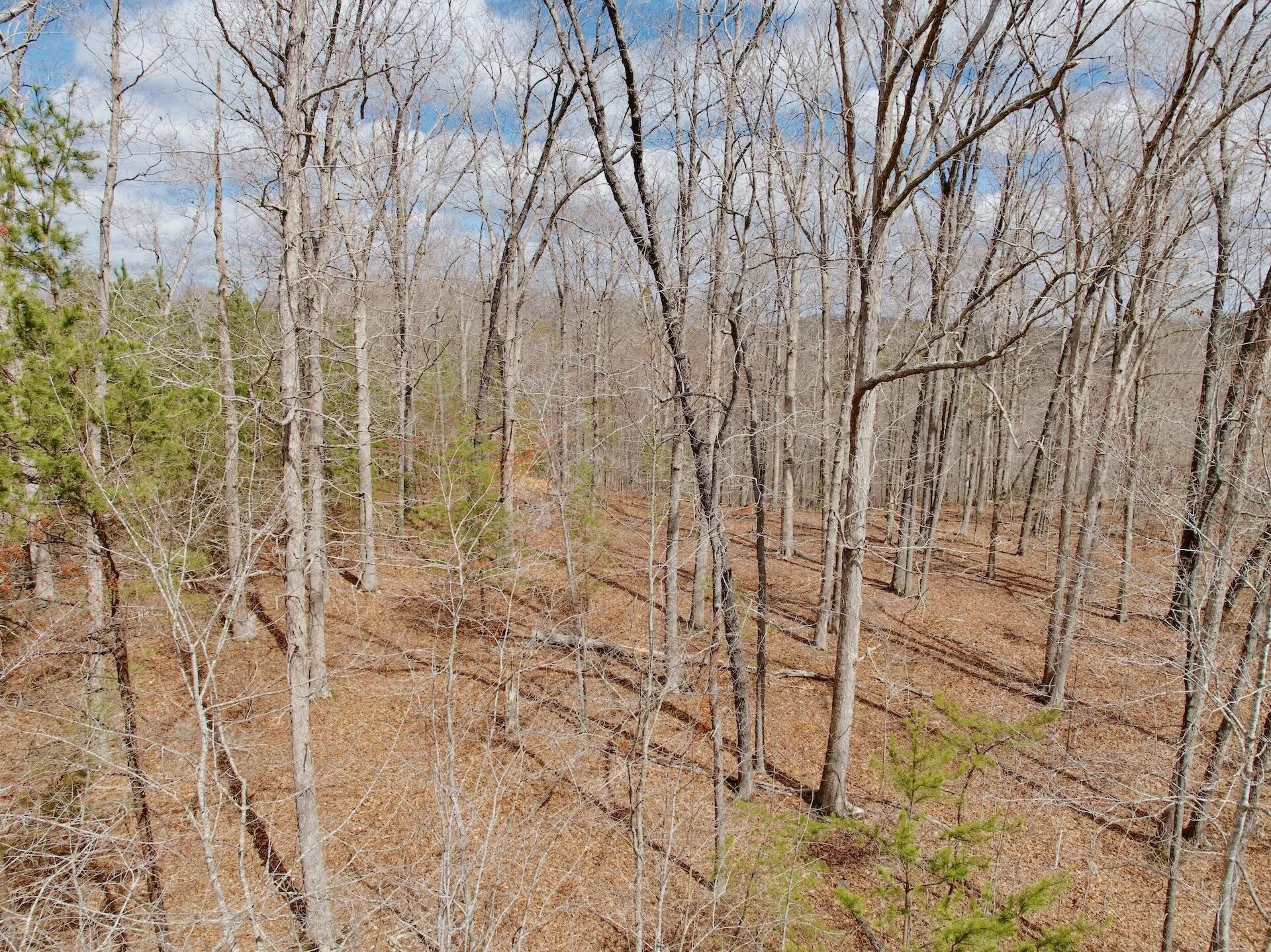 0 Runaway Bay RD - Photo 38