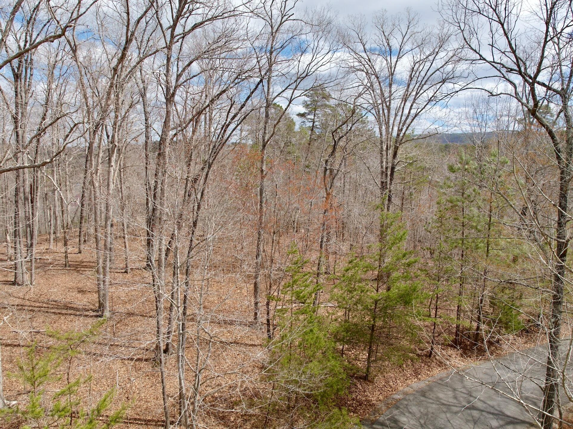 0 Runaway Bay RD - Photo 39