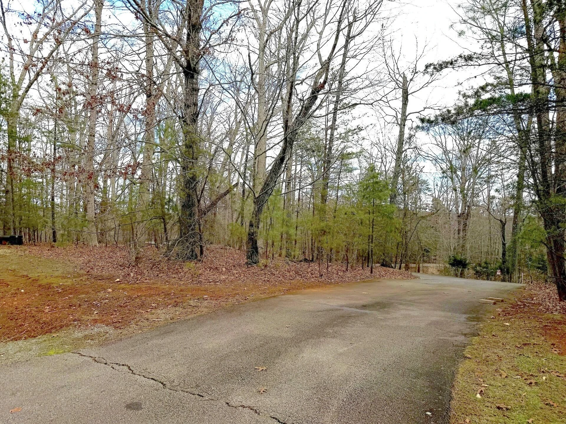 0 Runaway Bay RD - Photo 6