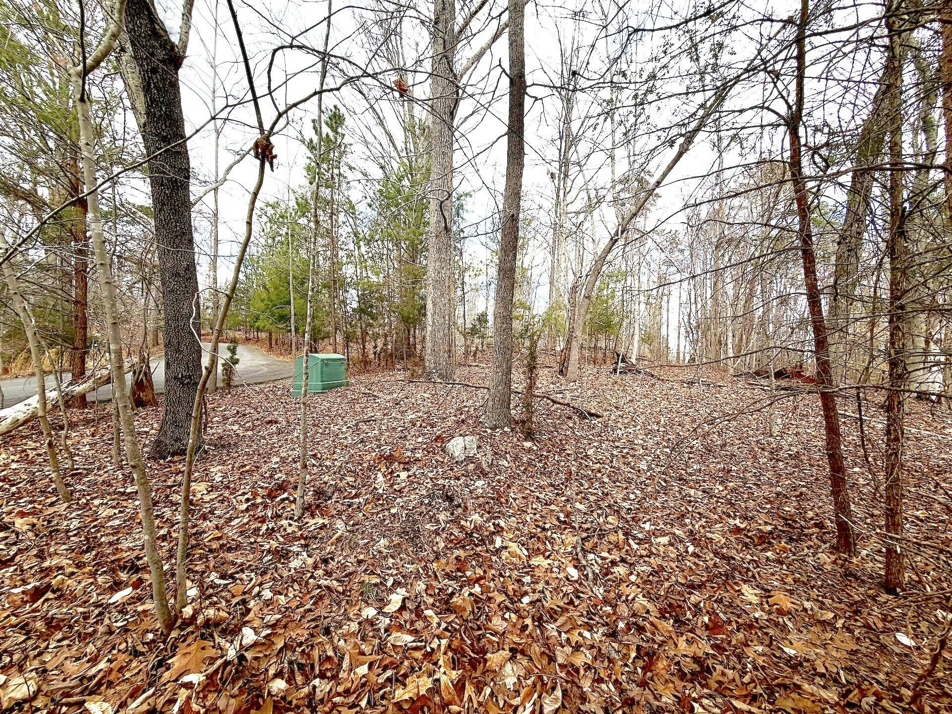 0 Runaway Bay RD - Photo 9