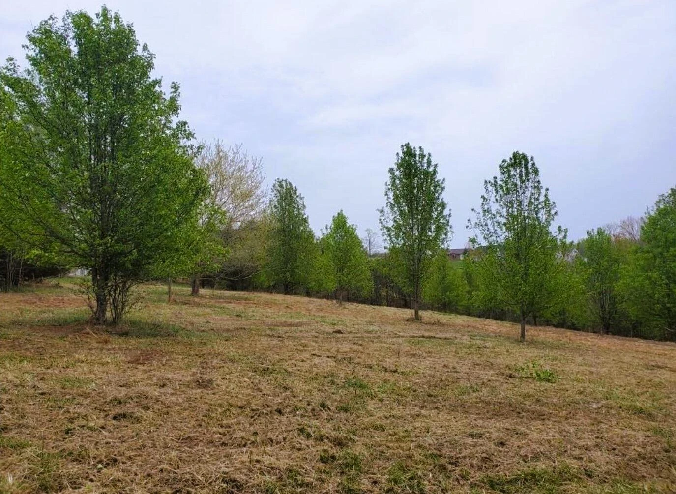 0 North Church DR - Photo 9