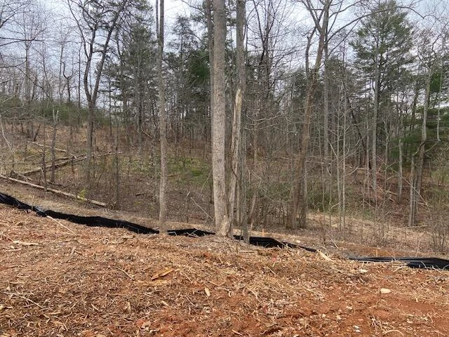 Lot 37 Lakewatch CIR - Photo 10