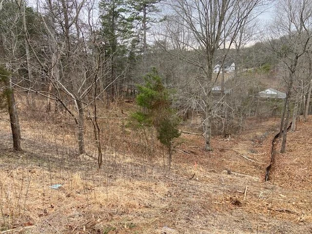 Lot 37 Lakewatch CIR - Photo 7