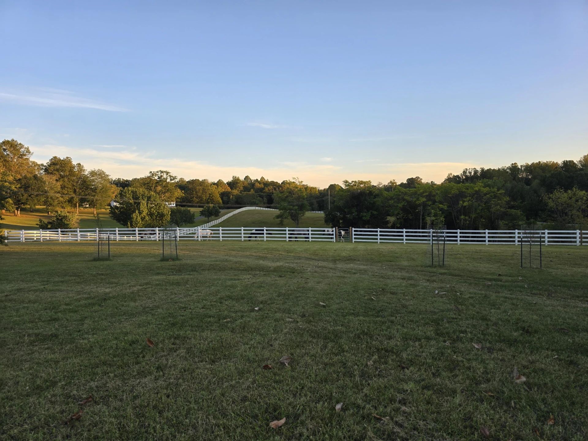 1350 Country Estates DR - Photo 2