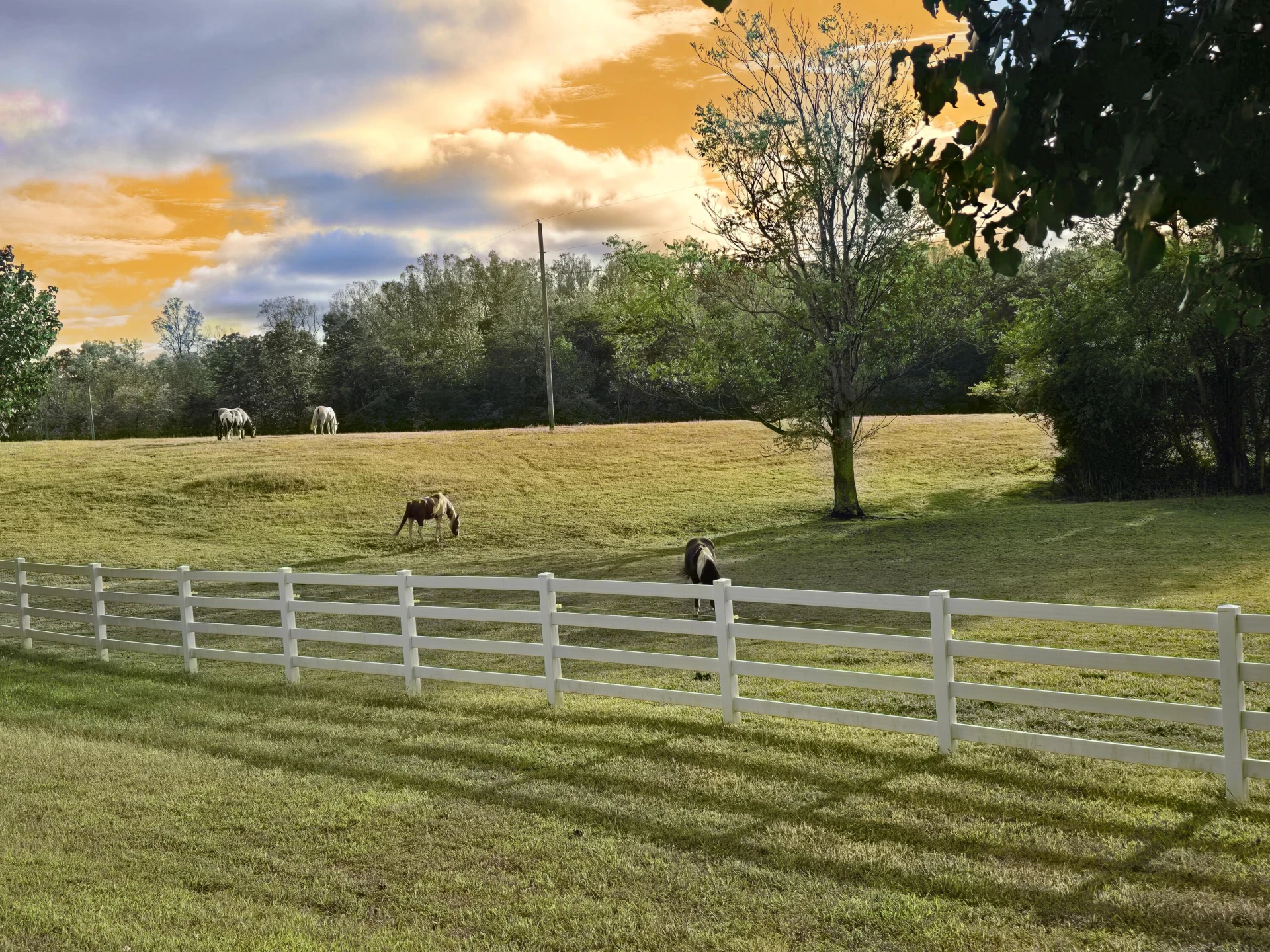 1350 Country Estates DR - Photo 3