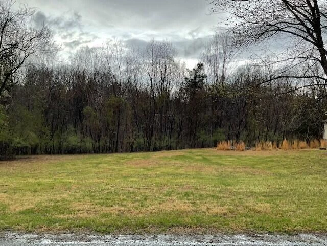 0 Pleasure Point Lot 49 DR - Photo 2