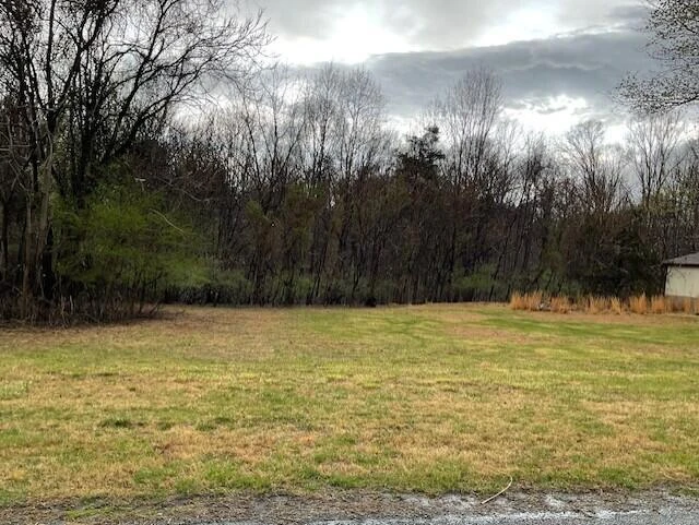 0 Pleasure Point Lot 49 DR - Photo 3
