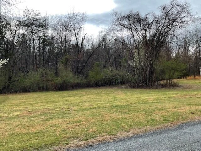 0 Pleasure Point Lot 49 DR - Photo 4
