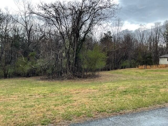 0 Pleasure Point Lot 49 DR - Photo 5