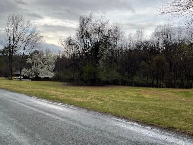 0 Pleasure Point Lot 49 DR - Photo 6