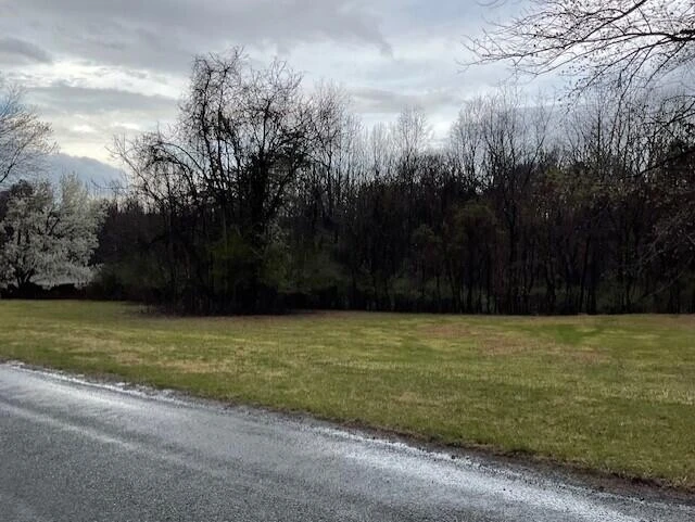 0 Pleasure Point Lot 49 DR - Photo 7