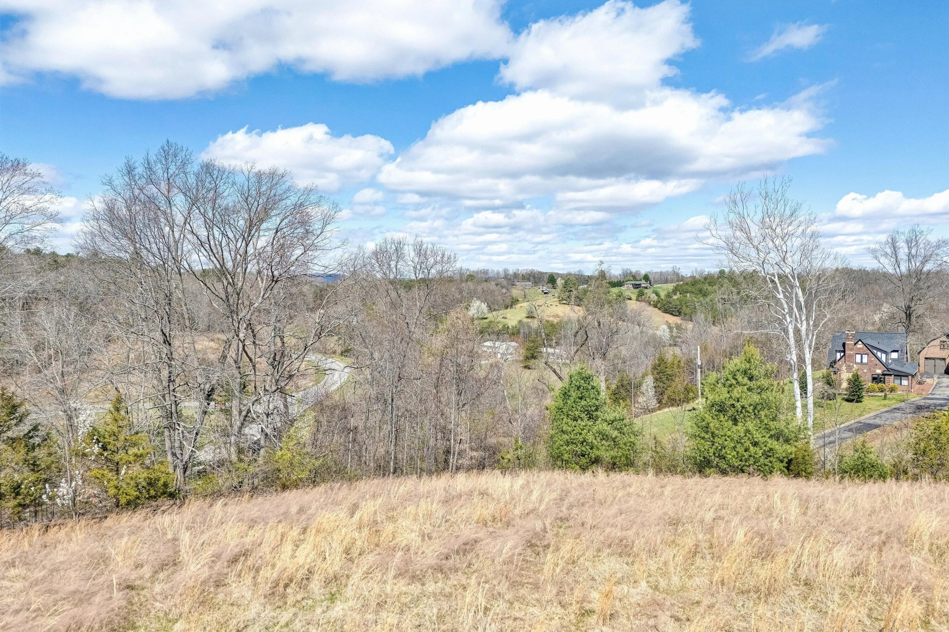 Lot 1 Springhouse LN - Photo 12