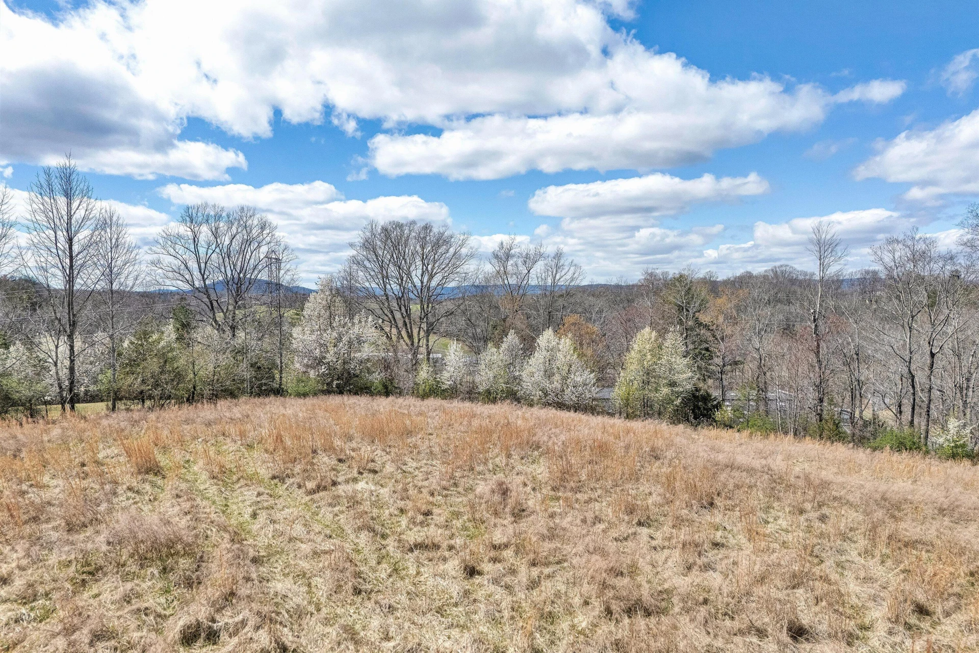 Lot 1 Springhouse LN - Photo 14