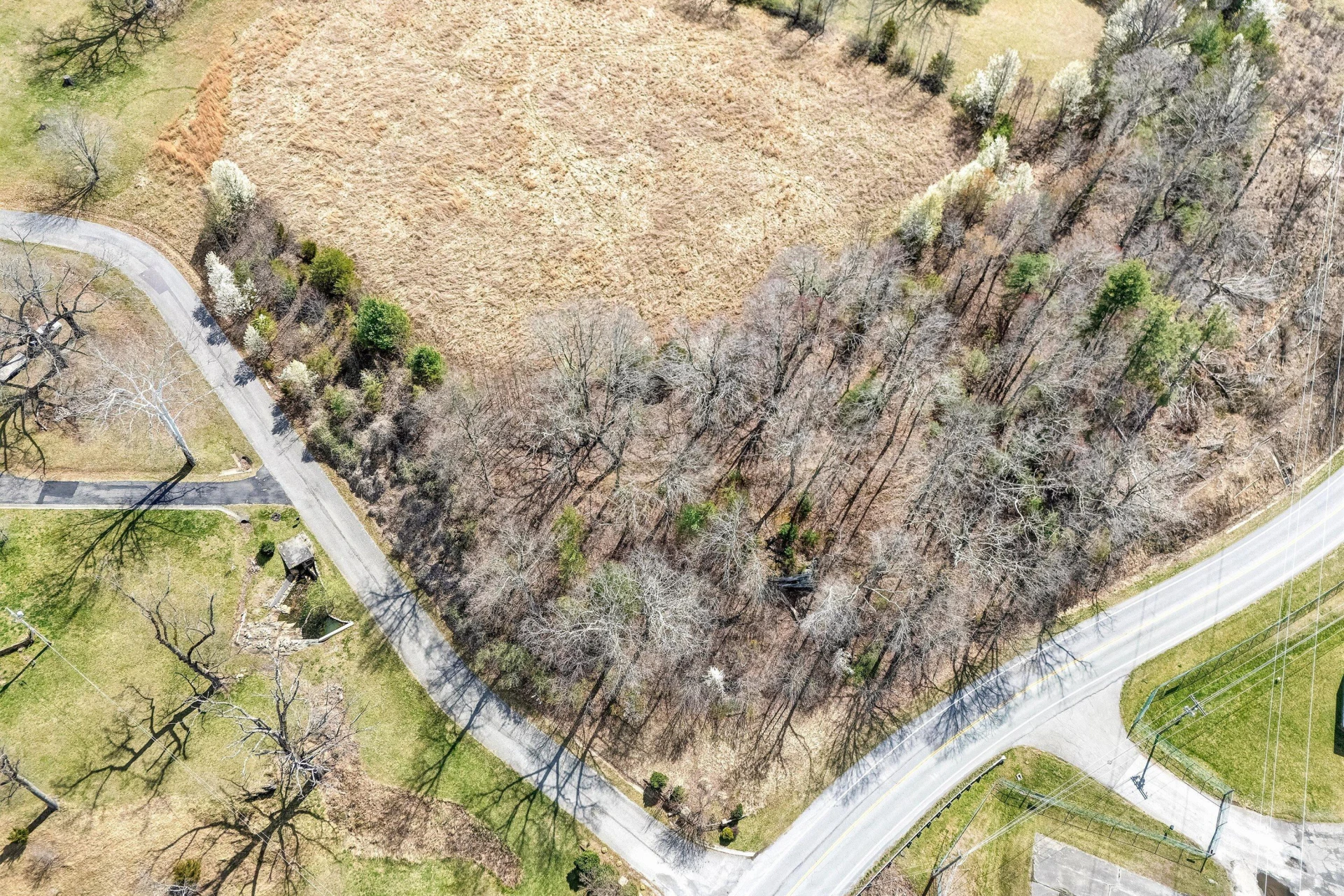 Lot 1 Springhouse LN - Photo 4