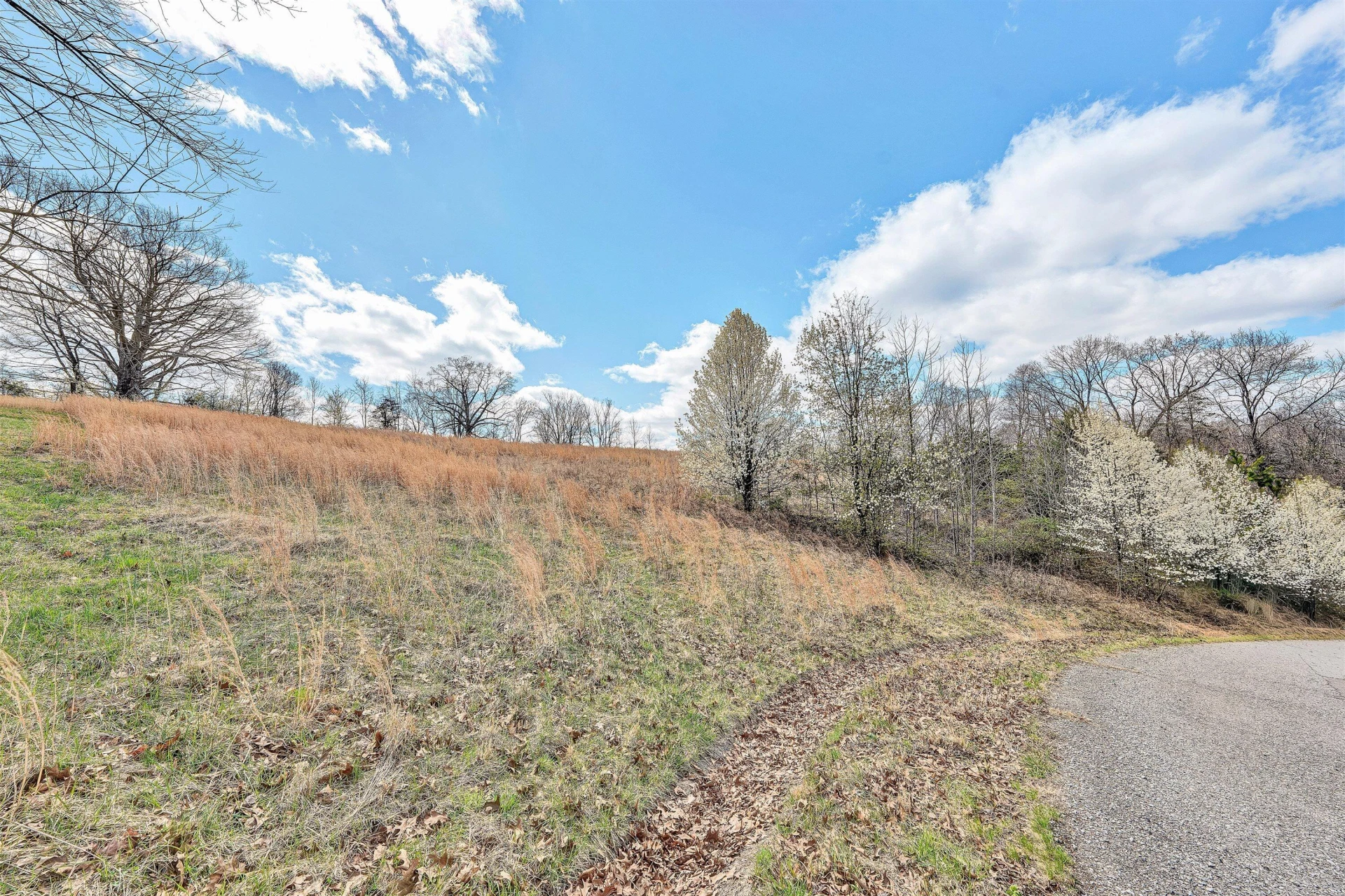 Lot 1 Springhouse LN - Photo 7