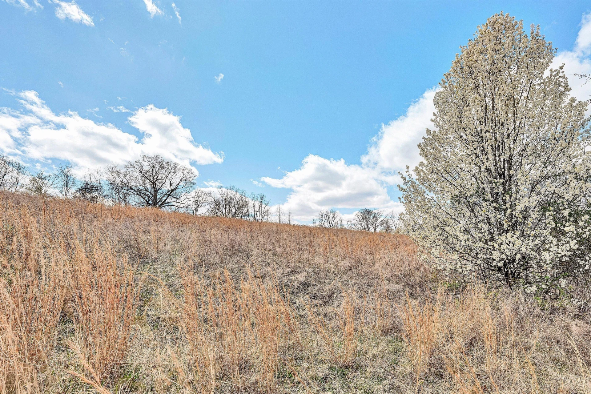 Lot 1 Springhouse LN - Photo 8