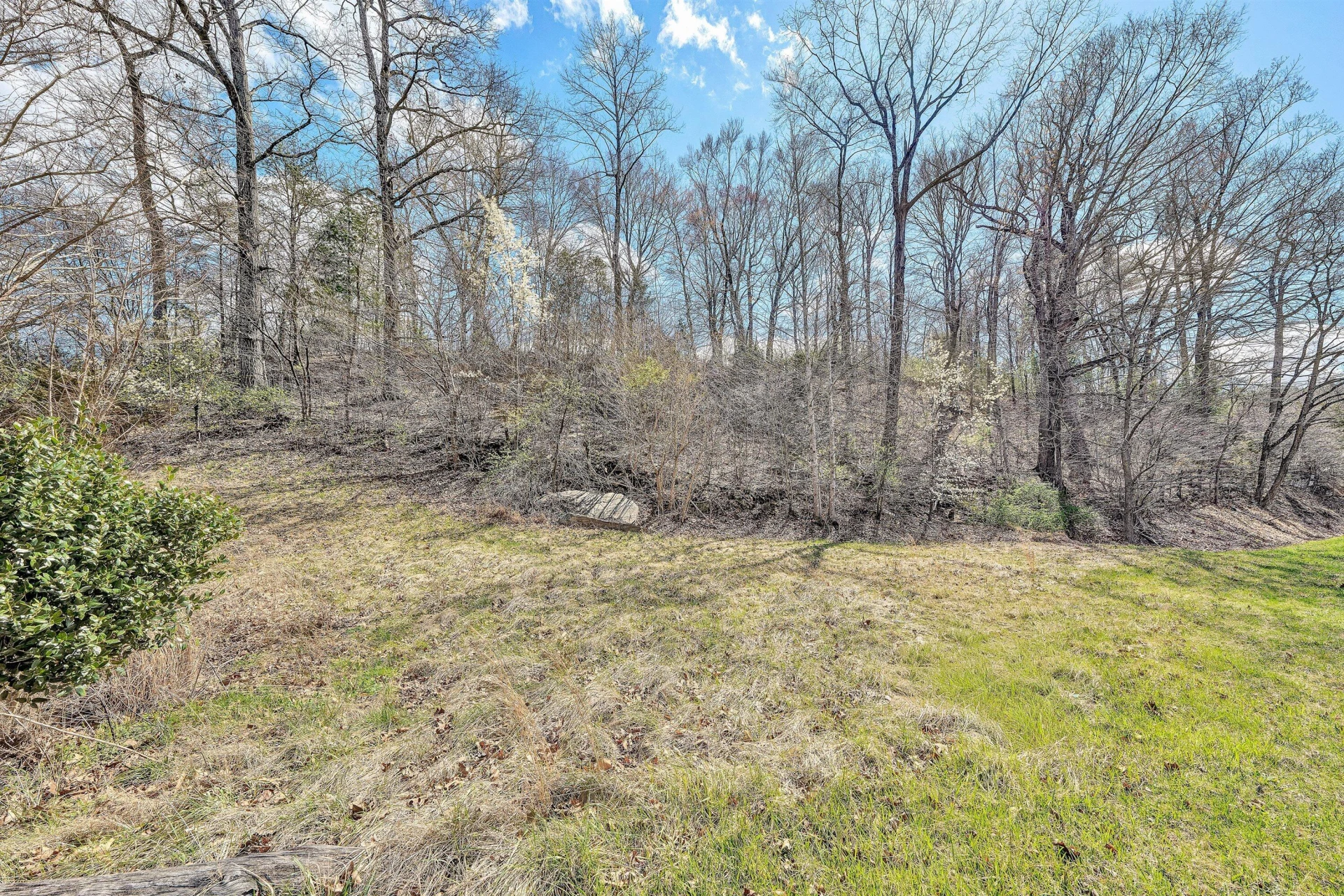 Lot 1 Springhouse LN - Photo 9