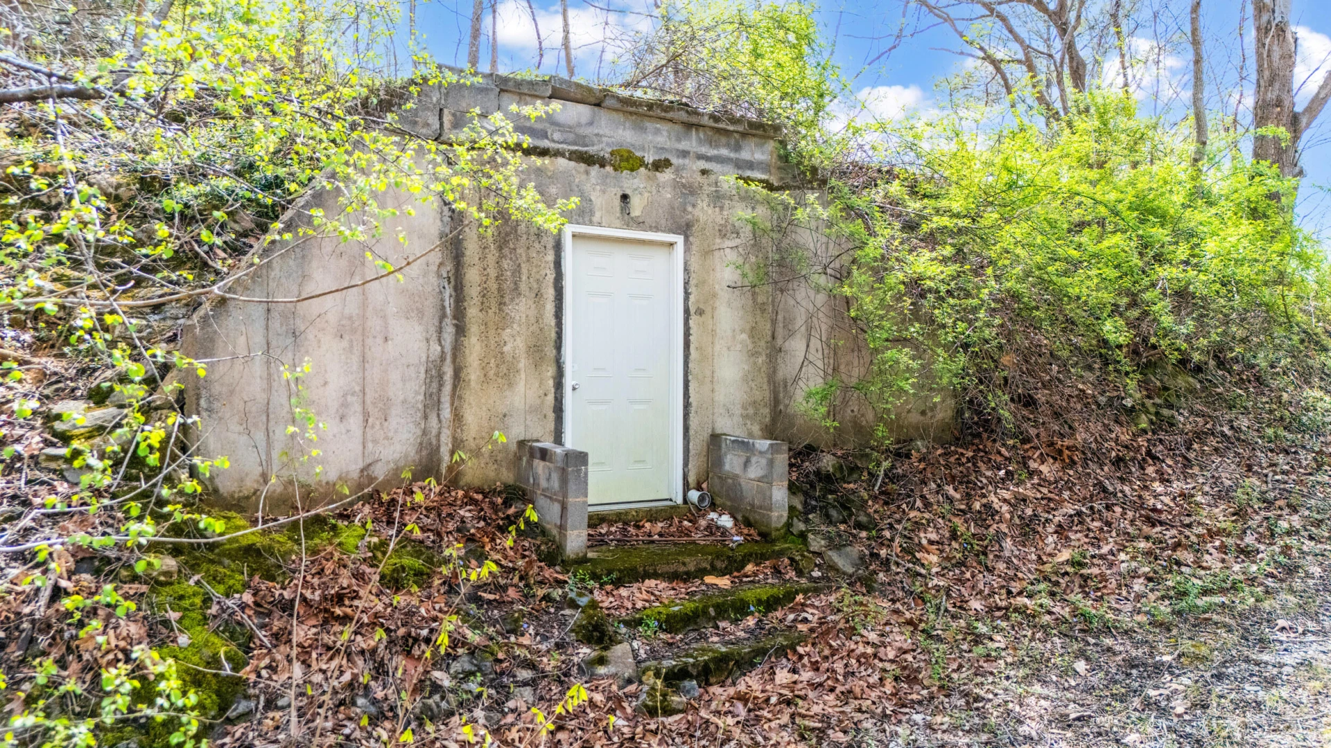 1374 Moccasin RD - Photo 38