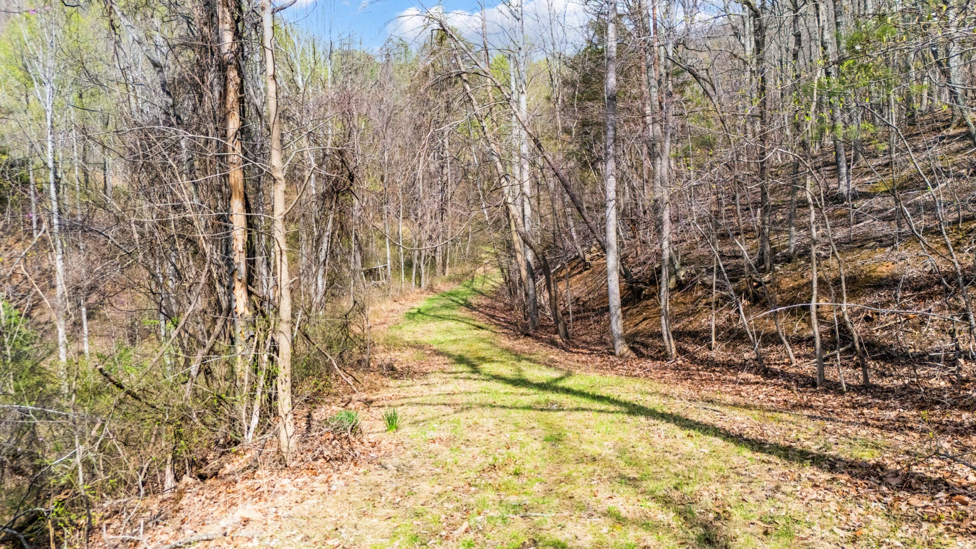 1374 Moccasin RD - Photo 41