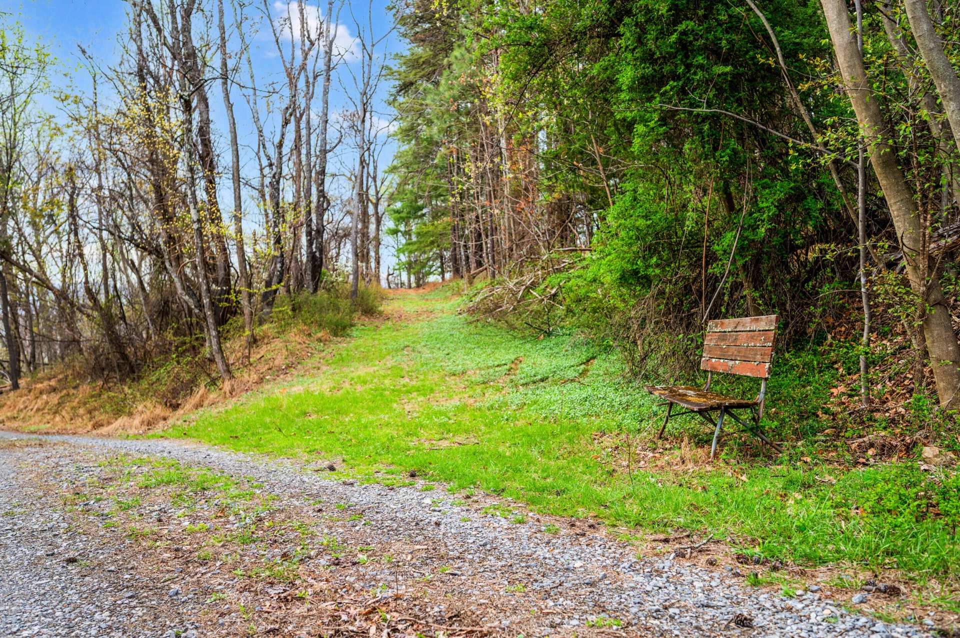 1374 Moccasin RD - Photo 78