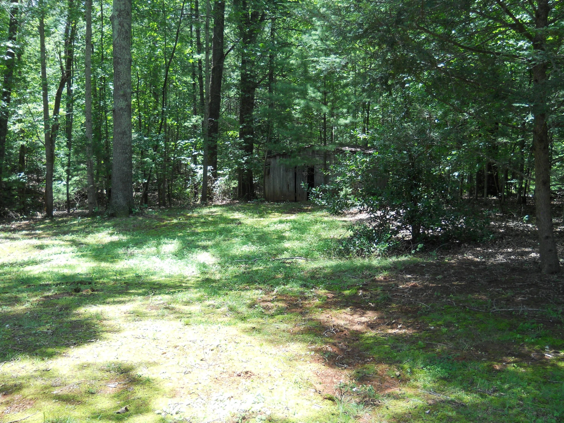 209 Leatherwood PL - Photo 23